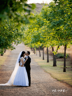 wedding03_04.png